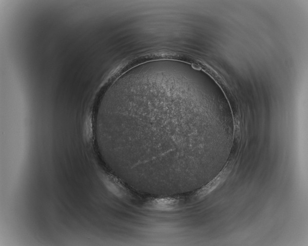 X0000116050158200911271225