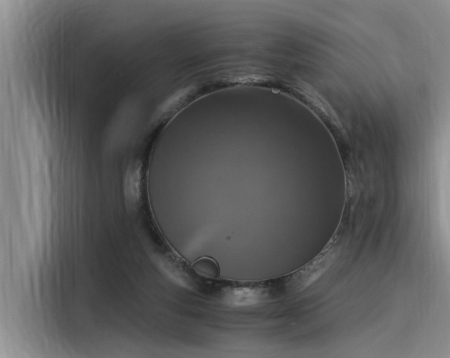 X0000116050163200911271225