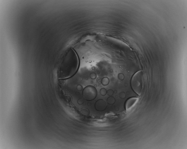 X0000116050167200911271225