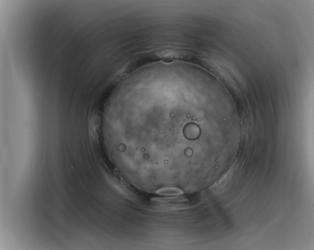 X0000116050171200911271225