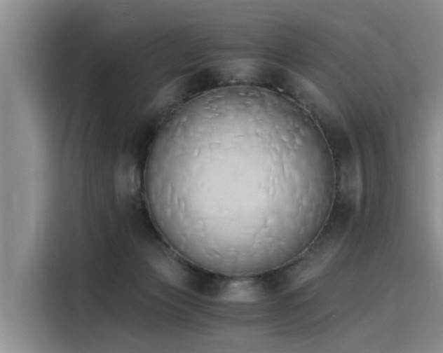 X0000116050173200911271225