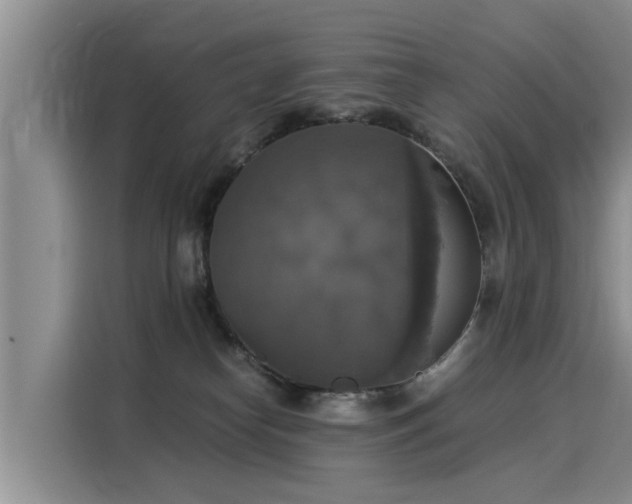 X0000116050182200911271225