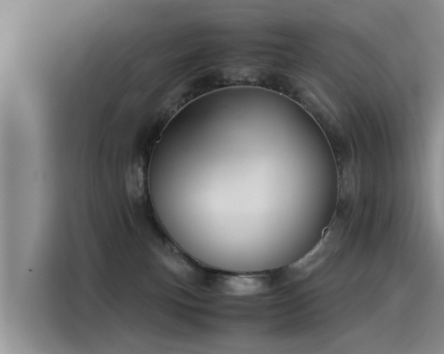 X0000116050183200911271225