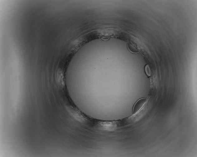 X0000116050187200911271225