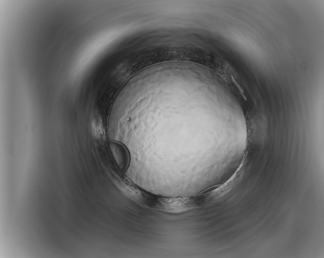 X0000116050191200911271225