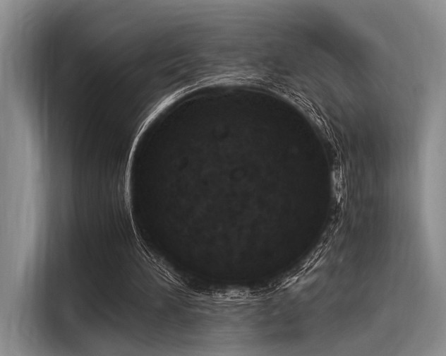 X0000116050196200911271225
