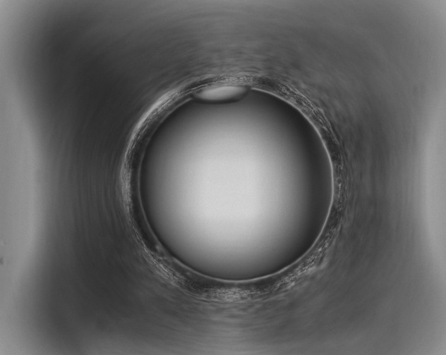 X0000116050197200911271225
