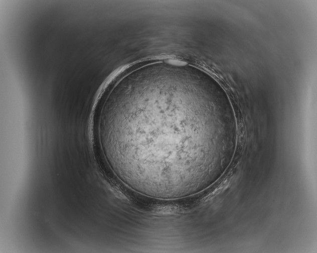 X0000116050200200911271225