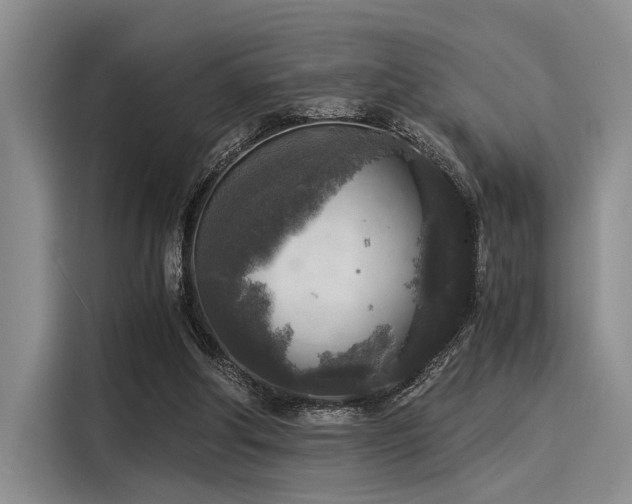 X0000116050202200911271225