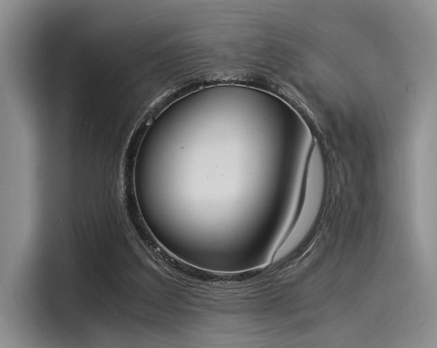 X0000116050203200911271225