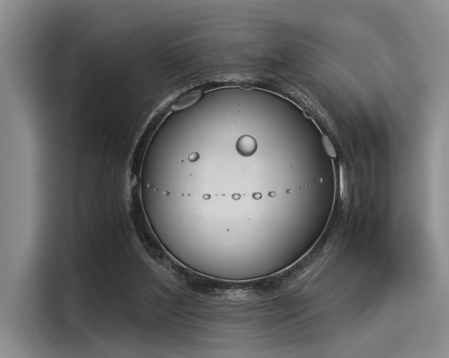 X0000116050204200911271225