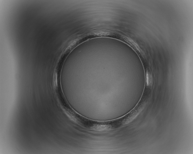 X0000116050205200911271225