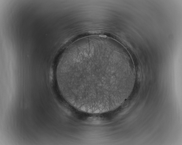 X0000116050211200911271225
