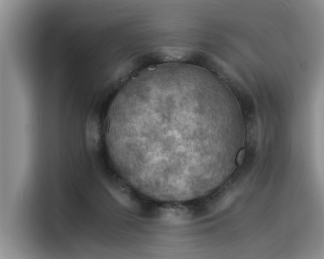 X0000116050215200911271224