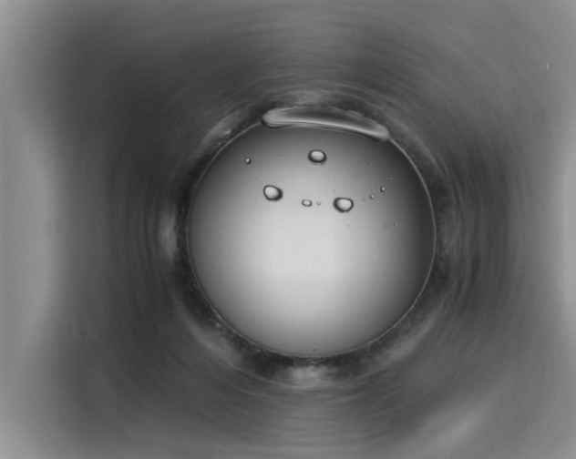 X0000116050216200911271224
