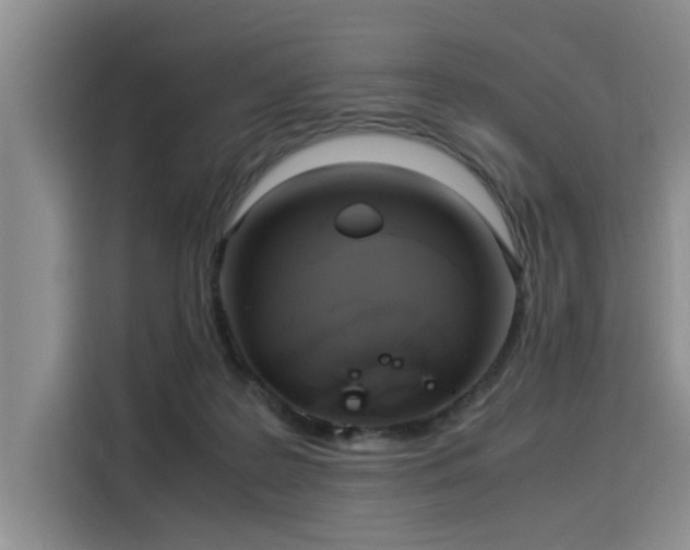 X0000116050219200911271224