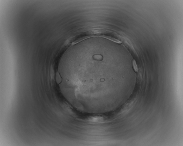 X0000116050220200911271224