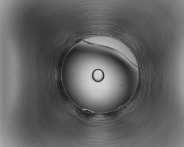 X0000116050227200911271224