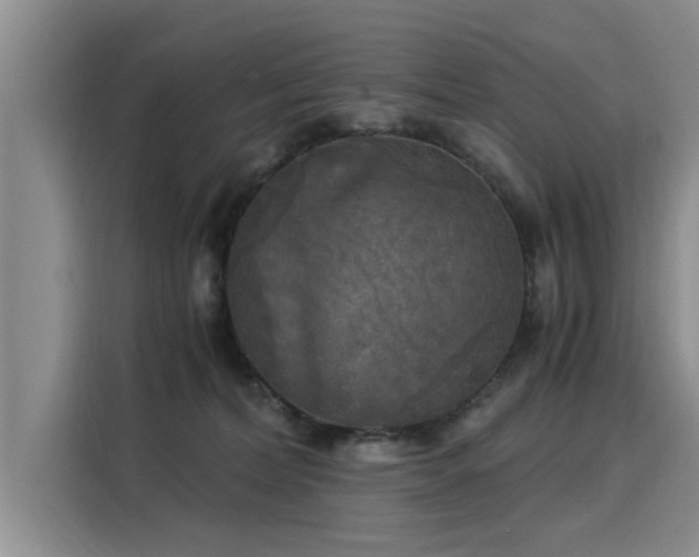 X0000116050228200911271224