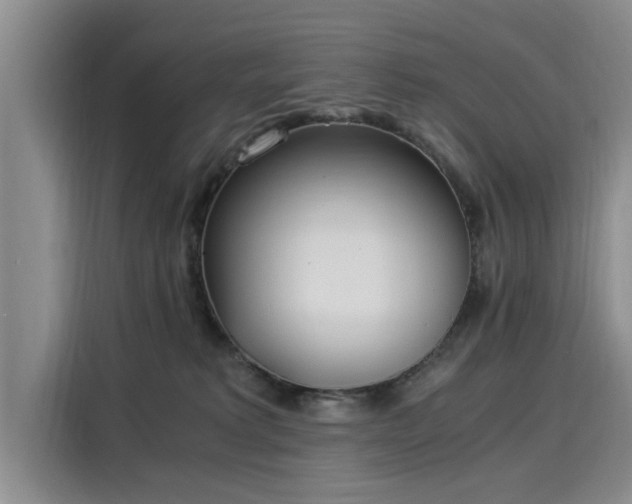 X0000116050229200911271224