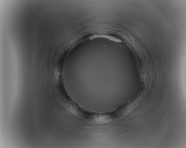 X0000116050235200911271224