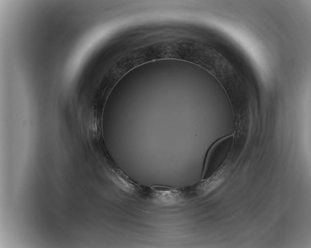 X0000116050239200911271224