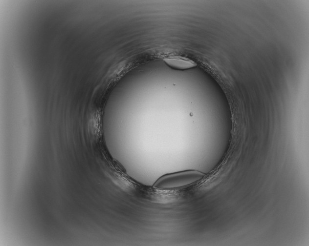 X0000116050240200911271224