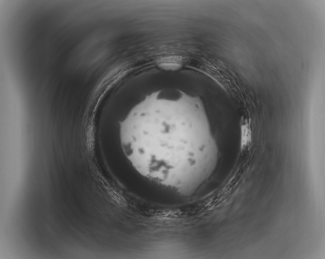 X0000116050243200911271224