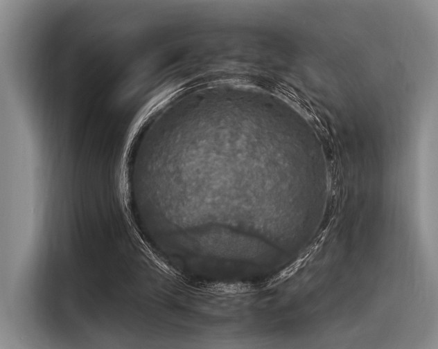 X0000116050245200911271224