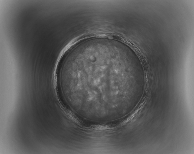 X0000116050246200911271224