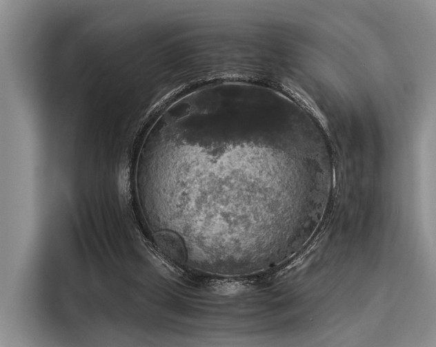 X0000116050249200911271224