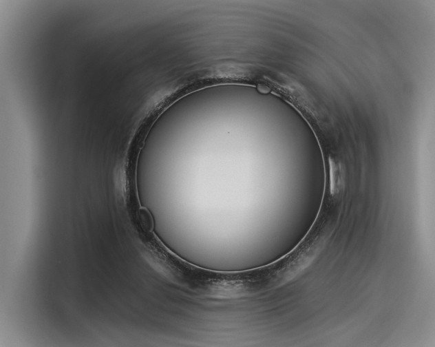 X0000116050252200911271224