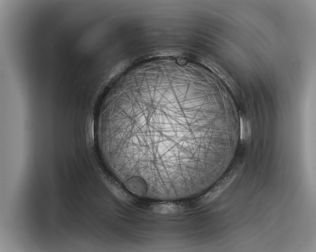 X0000116050253200911271224