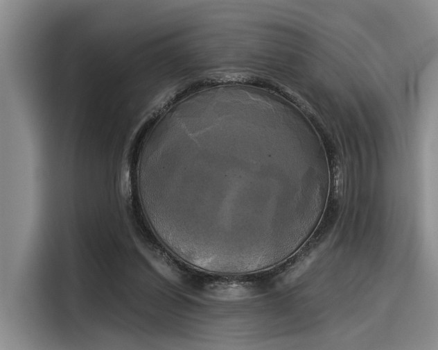 X0000116050254200911271224