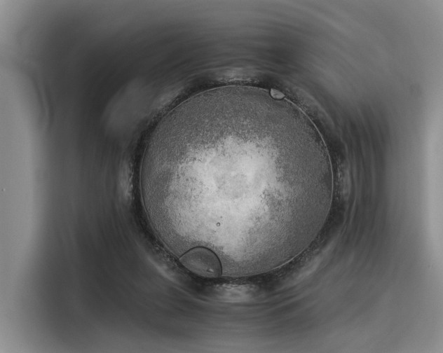 X0000116050255200911271224