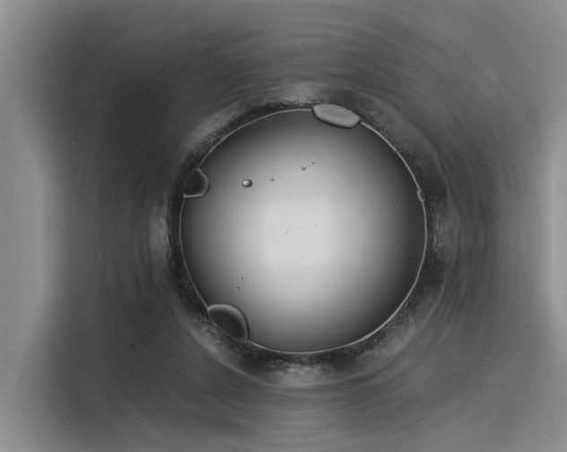 X0000116050256200911271224