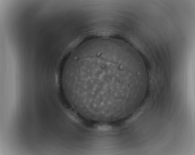 X0000116050258200911271224