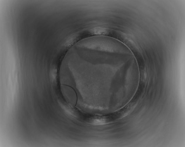 X0000116050263200911271224