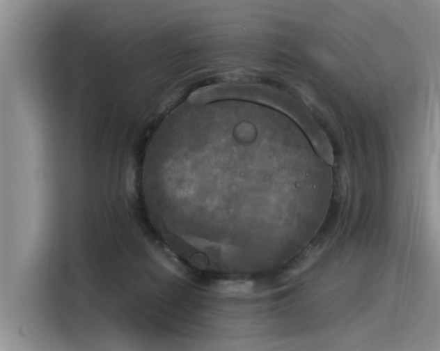 X0000116050266200911271224