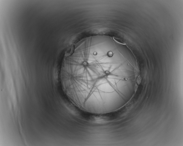 X0000116050268200911271224