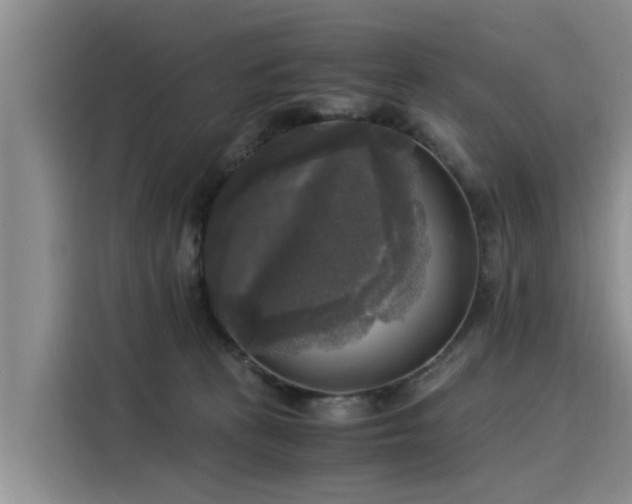 X0000116050273200911271224