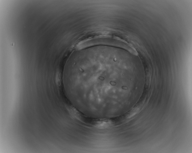 X0000116050274200911271224