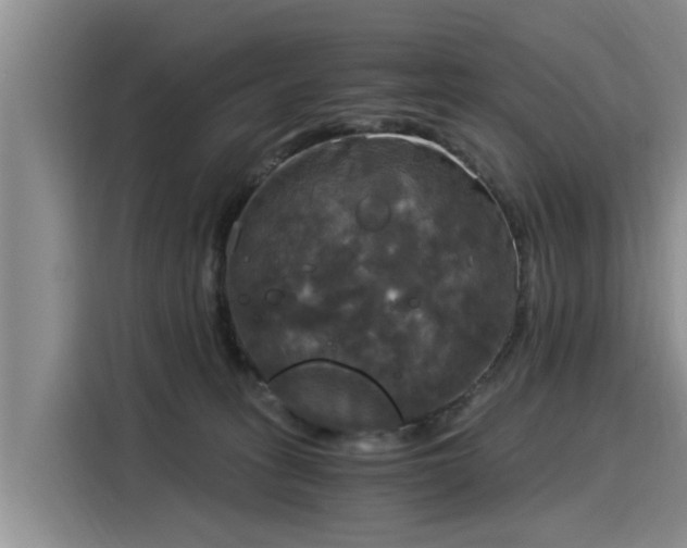 X0000116050275200911271224
