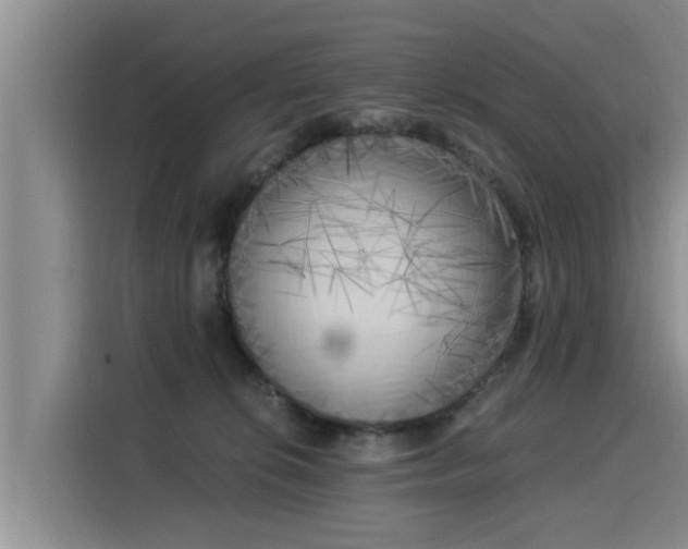 X0000116050276200911271224