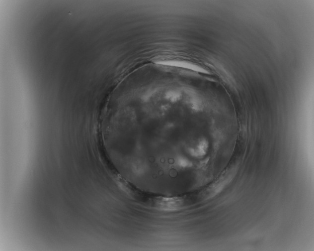 X0000116050277200911271224