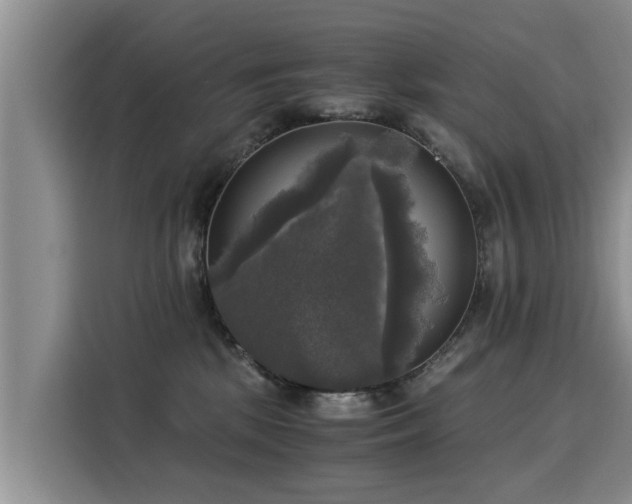 X0000116050281200911271224