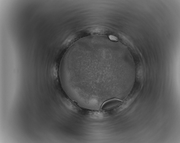 X0000116050282200911271224