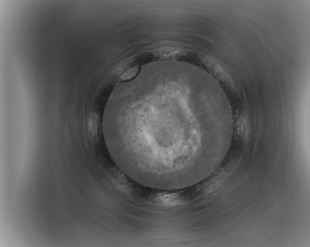 X0000116050283200911271224