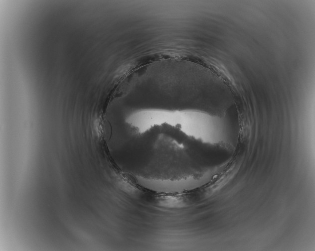 X0000116050285200911271224
