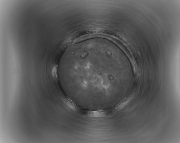 X0000116050286200911271224